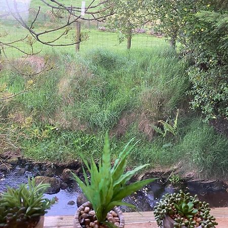 Fallburn Hideaway Martinstown المظهر الخارجي الصورة