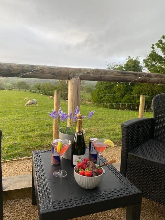 Fallburn Hideaway Martinstown المظهر الخارجي الصورة