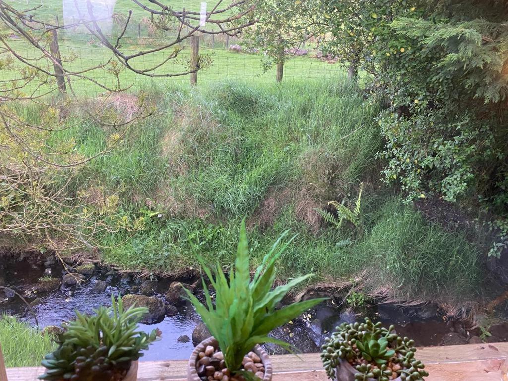 Fallburn Hideaway Martinstown المظهر الخارجي الصورة
