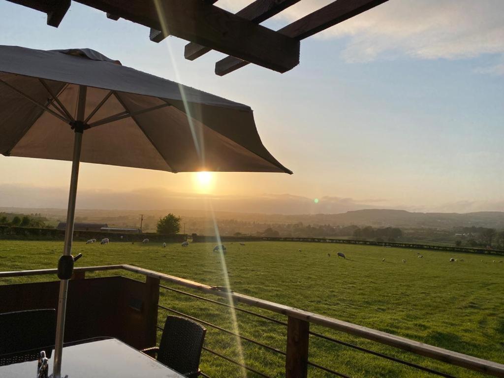Fallburn Hideaway Martinstown المظهر الخارجي الصورة